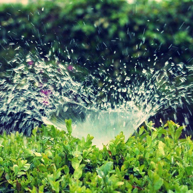 Sprinkler System Inspection Minimums