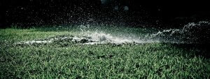 Read more about the article What Is Included In A Sprinkler System Inspection?