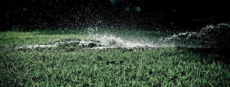 Read more about the article What Is Included In A Sprinkler System Inspection?