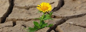 Read more about the article Beating Back the August Heat