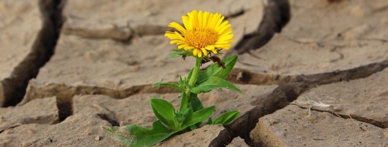 Read more about the article Beating Back the August Heat